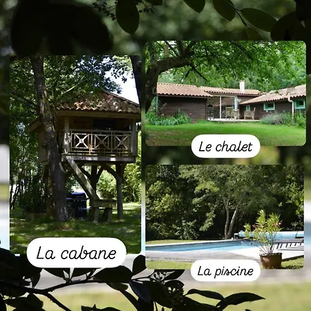 Les Grands Bois Et * Thezac (Charente-Maritime)